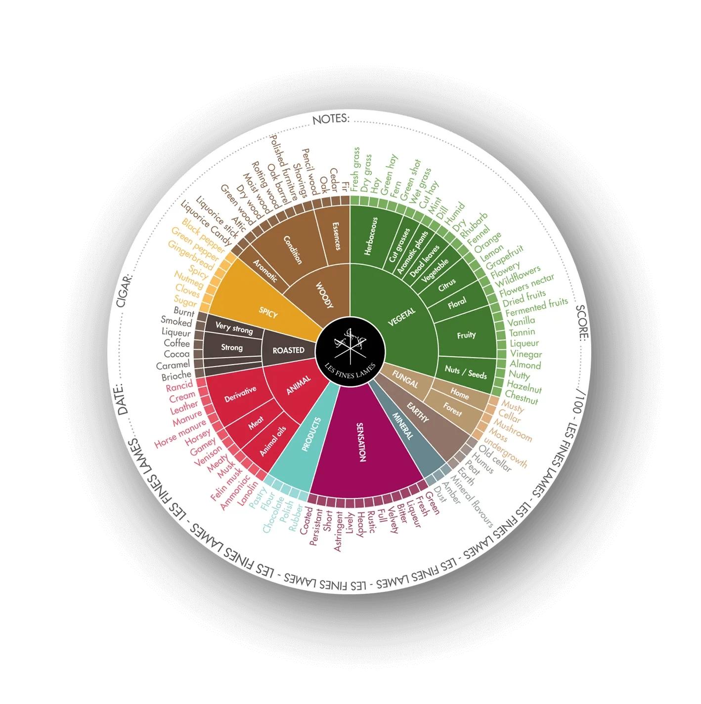 Coasters Flavor Wheel (50)