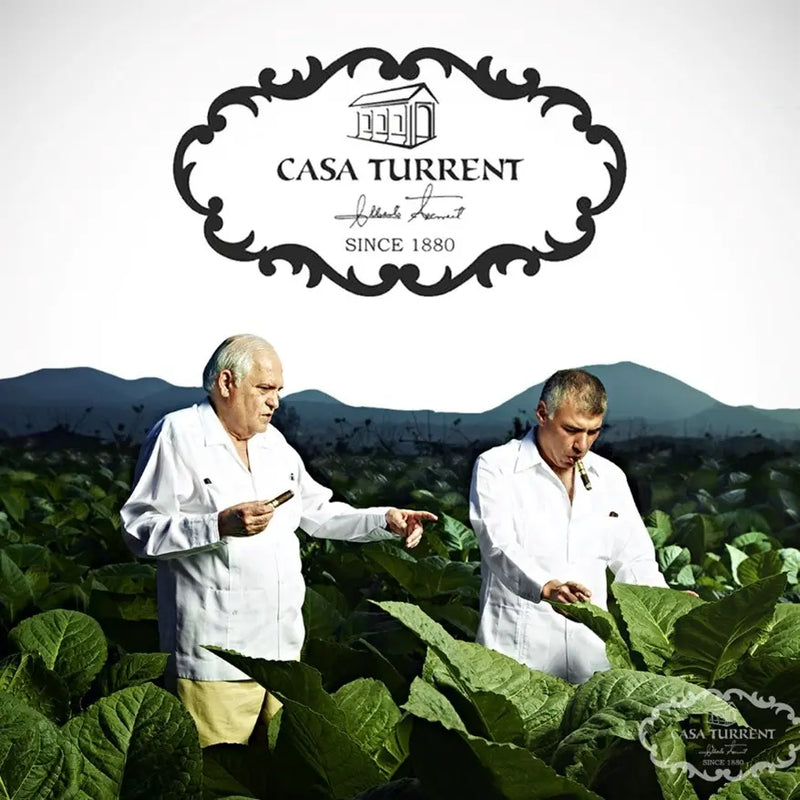 Photo of Alejandro Turrent inspecting tobacco leaves in San Andrés Valley