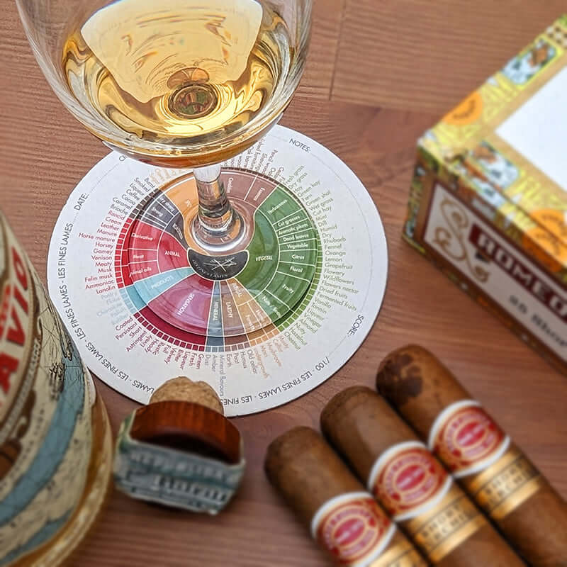 Coasters Flavor Wheel (50)